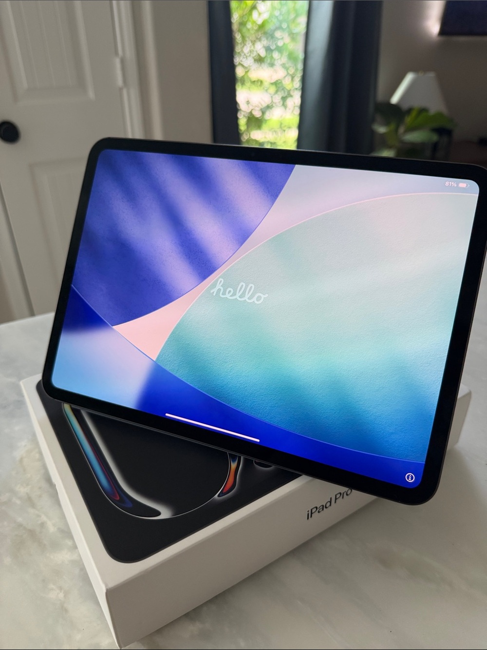 Apple iPad Pro 11inch  (512 GB) (WiFi Only) - with Apple ipad Case